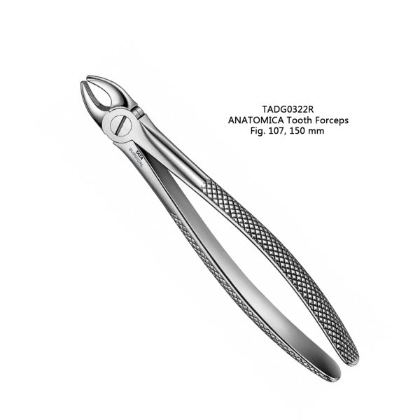 ANATOMICA Tooth Forceps, Fig. 107, 150 mm