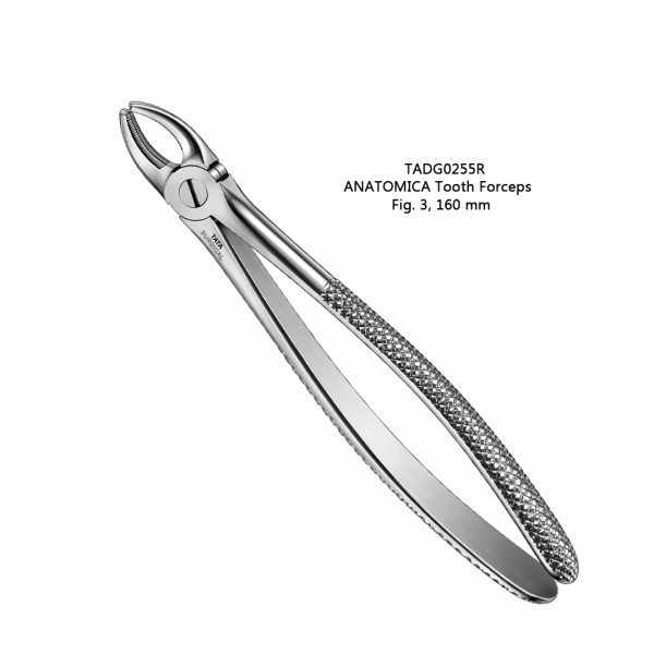 ANATOMICA Tooth Forceps, Fig. 3, 160 mm