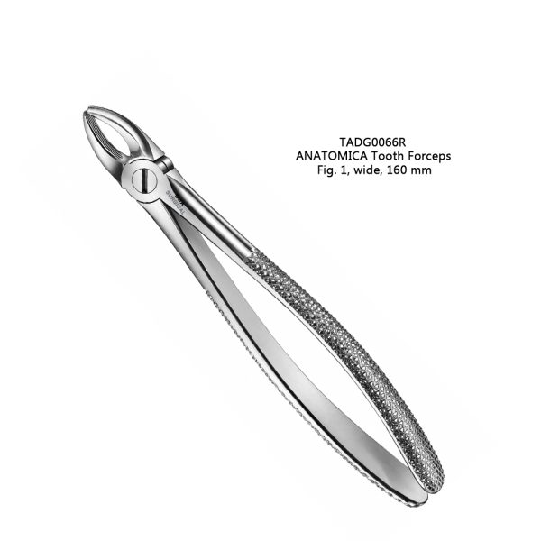 ANATOMICA Tooth Forceps, Fig. 1, wide, 160 mm