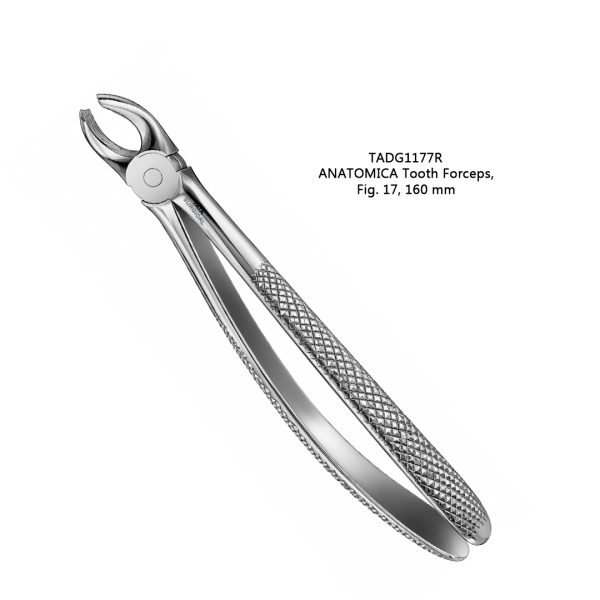 ANATOMICA Tooth Forceps, Fig. 17, 160 mm