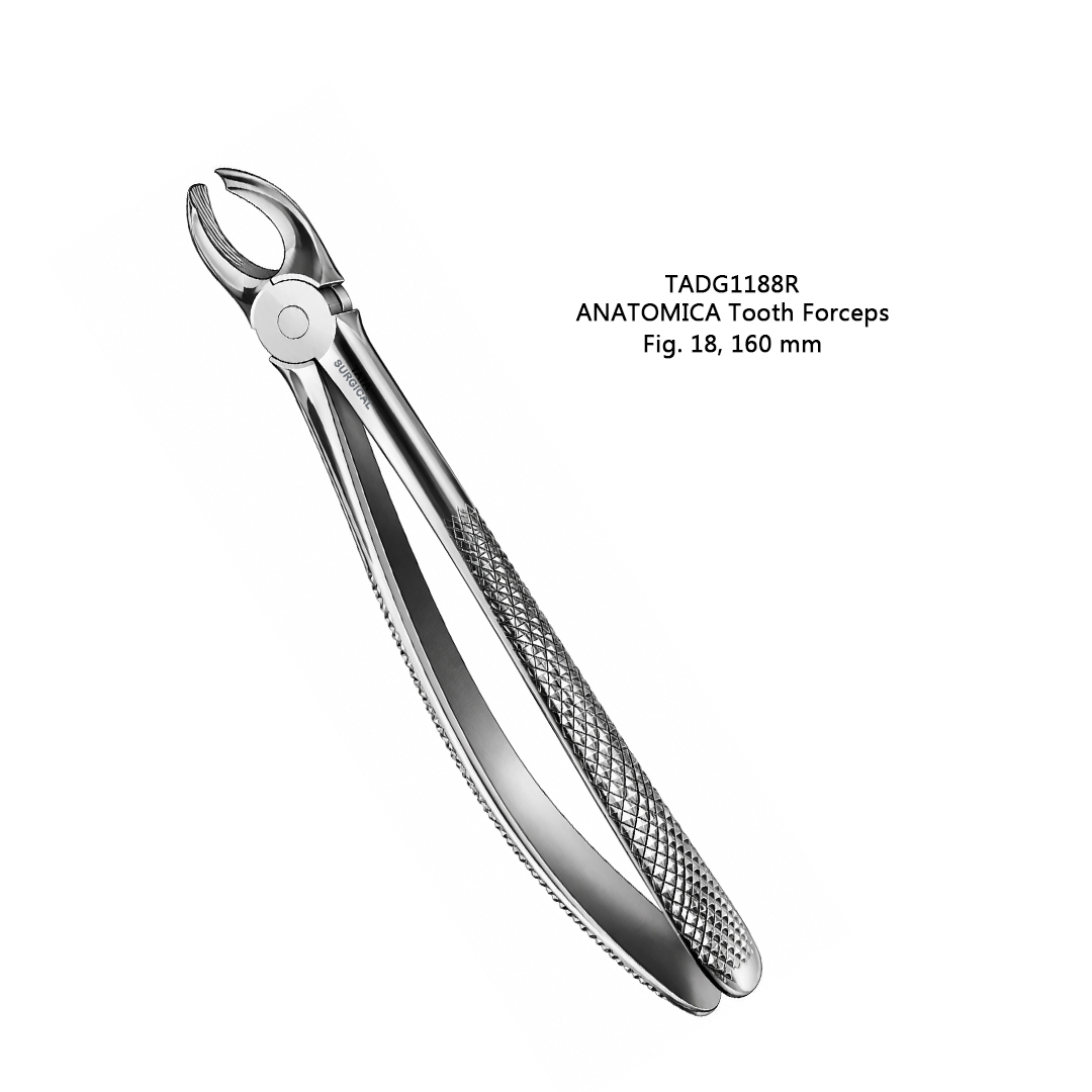 Tooth Forceps Fig 18 TADG 1188R - Tata Surgical