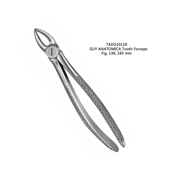 ANATOMICA Tooth Forceps, Fig. 136, 165 mm