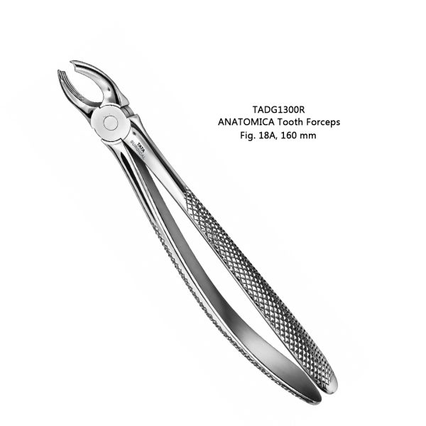 ANATOMICA Tooth Forceps, Fig. 18A, 160 mm