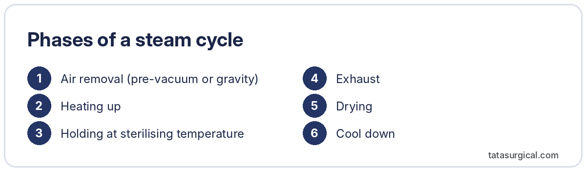 Phases of a steam cycle - Tata Surgical