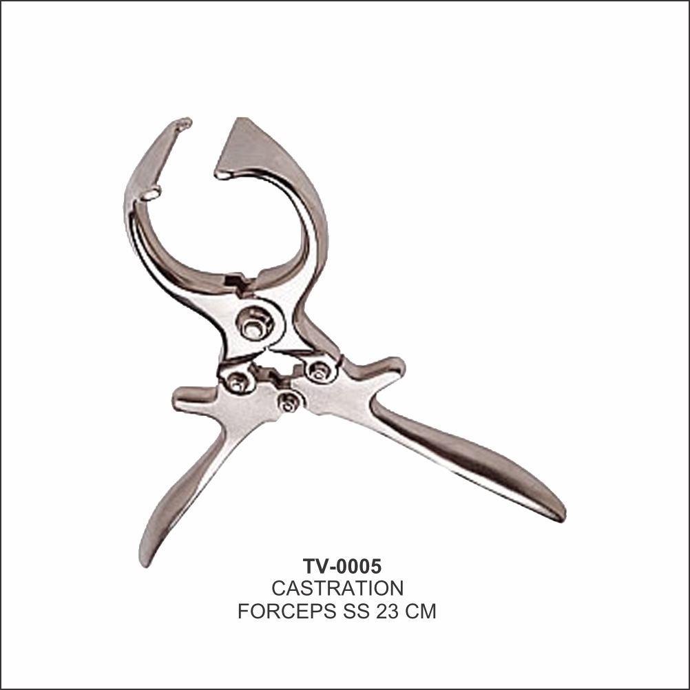 Castration Forceps 23cm TV-0005 - Tata Surgical