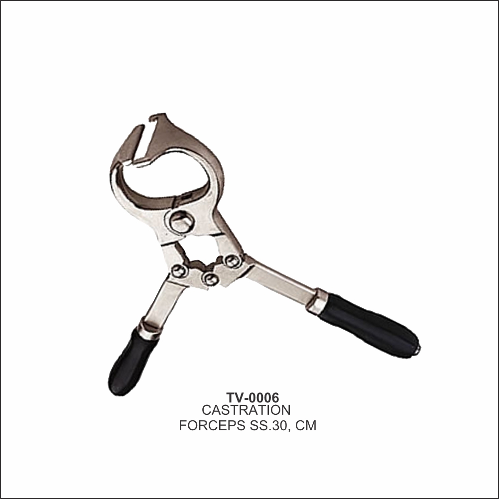 Castration Forceps 30cm TV-0006 - Tata Surgical