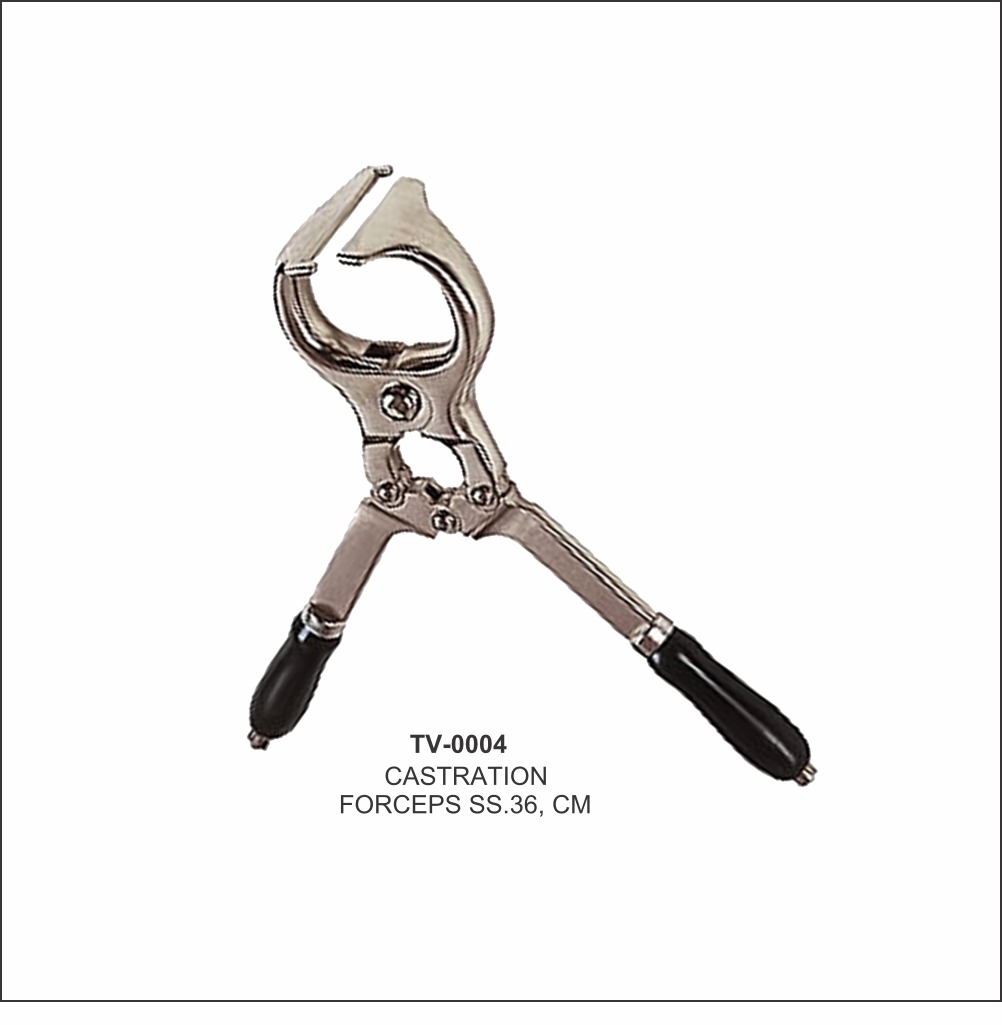 Castration Forceps 36cm TV-0004 - Tata Surgical