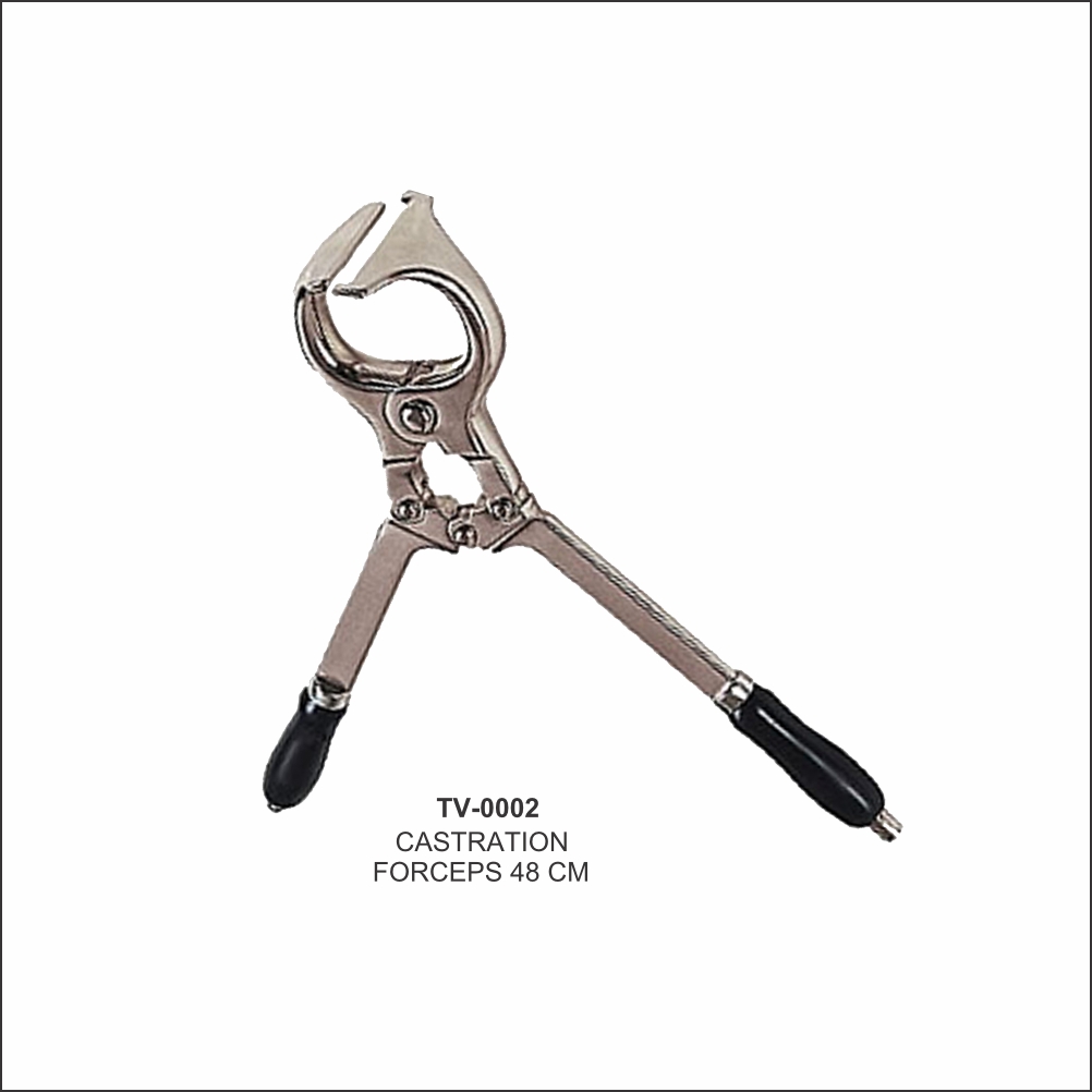 Castration Forceps 48cm TV-0002 - Tata Surgical