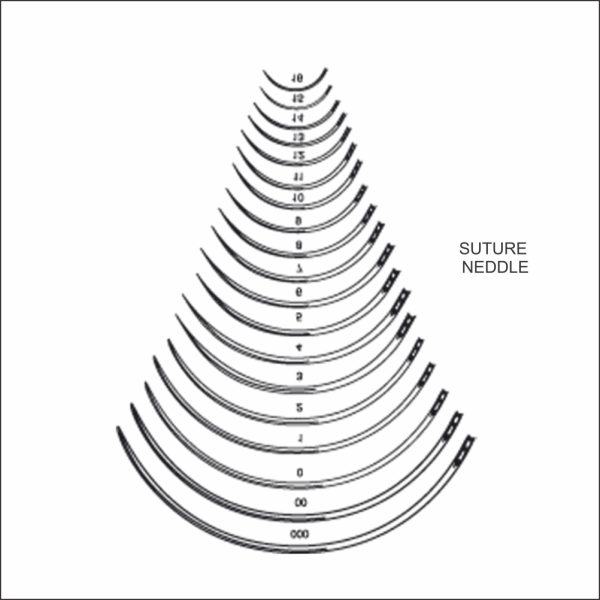 Suture Needles, Curved, Sizes 000 to 16