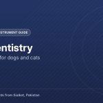 Pet dentistry: Instruments for dogs and cats - Tata Surgical