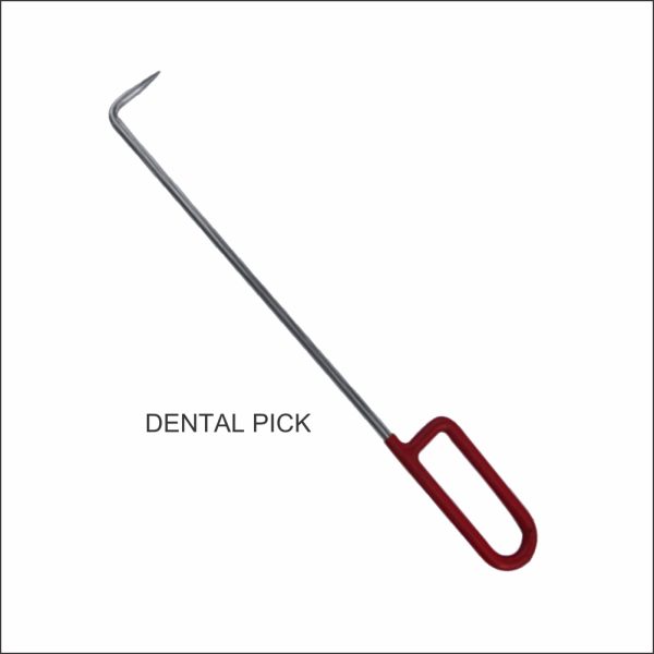 Equine Dental Pick