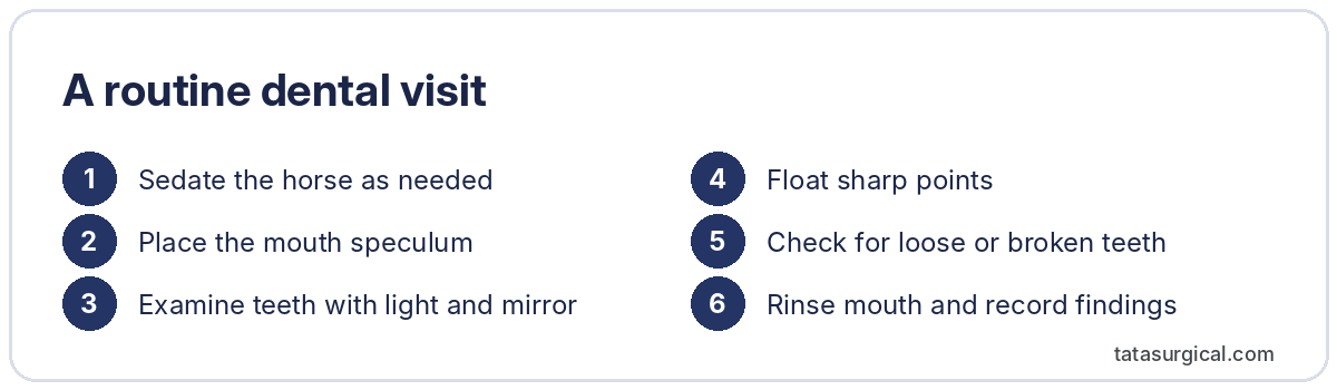 A routine dental visit - Tata Surgical