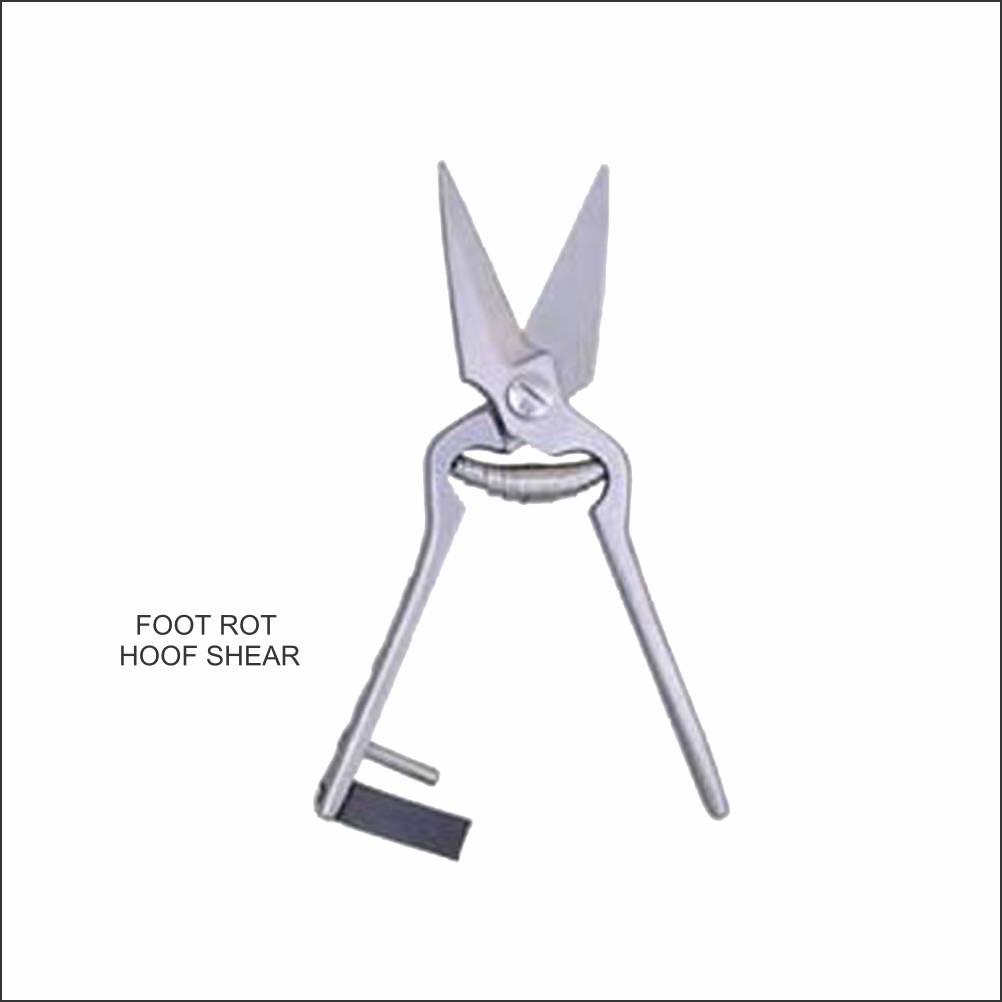 Foot Rot Shear Stainless TV-0114 - Tata Surgical