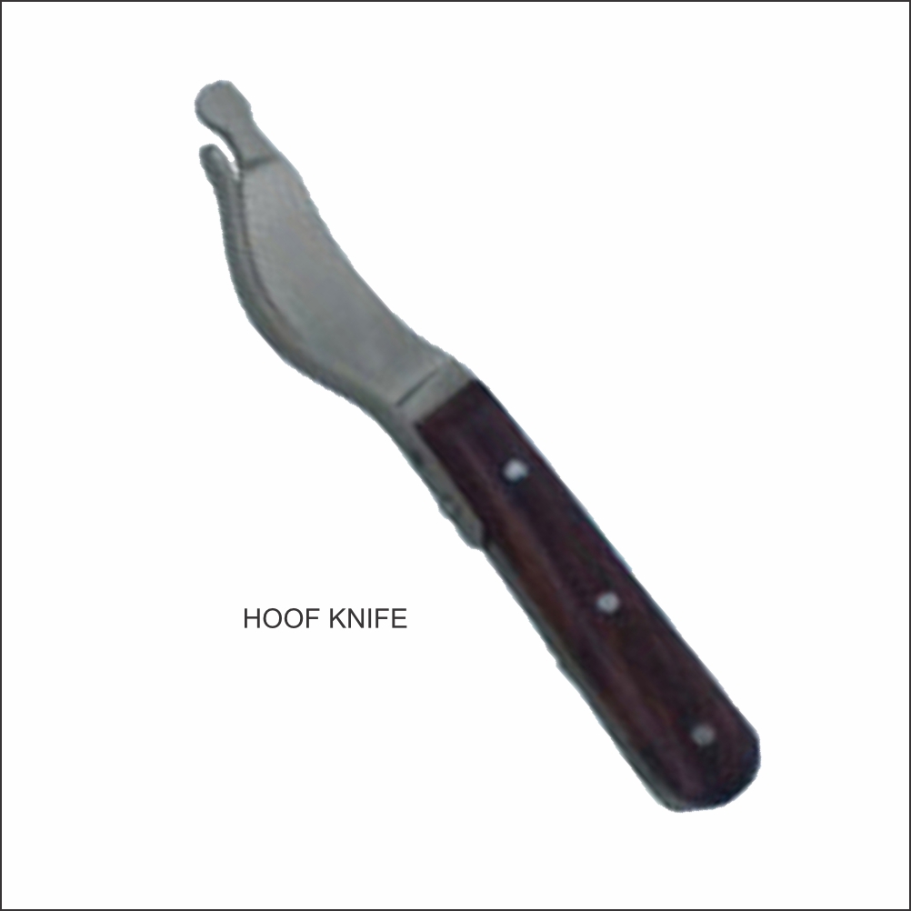 Hoof Knife Broad Serrated TV-0230 - Tata Surgical