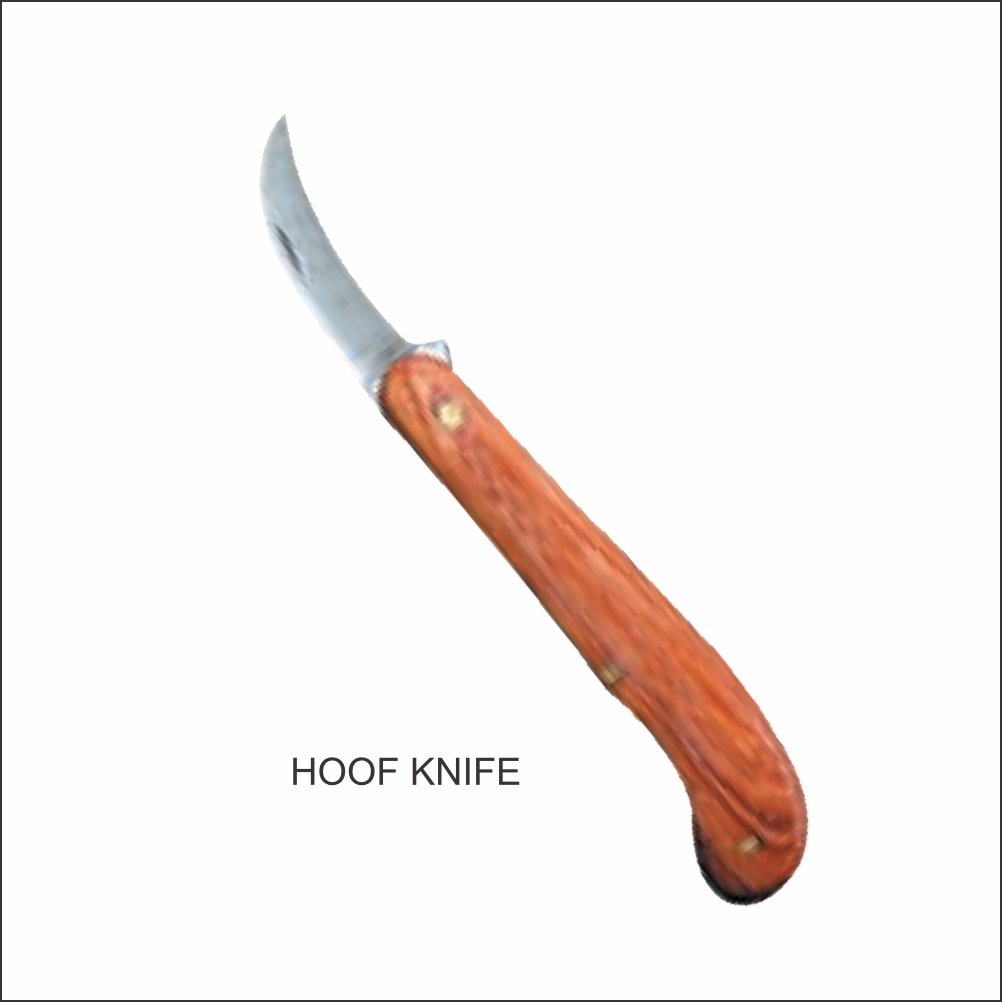 Hoof Knife Hooked Point TV-0236 - Tata Surgical