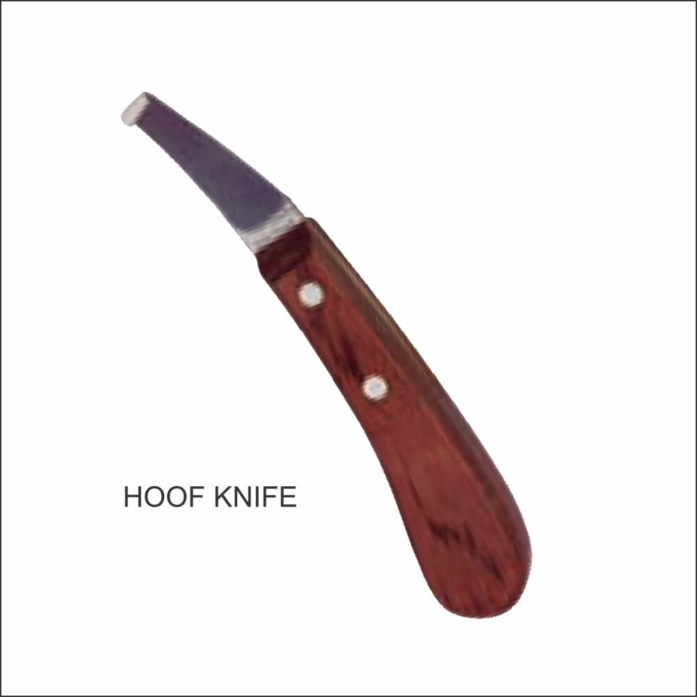 Hoof Knife TV-0224 TV-0224 - Tata Surgical