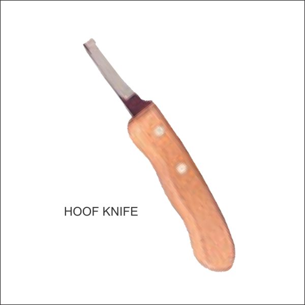 Hoof Knife, Short Blade, Light Handle