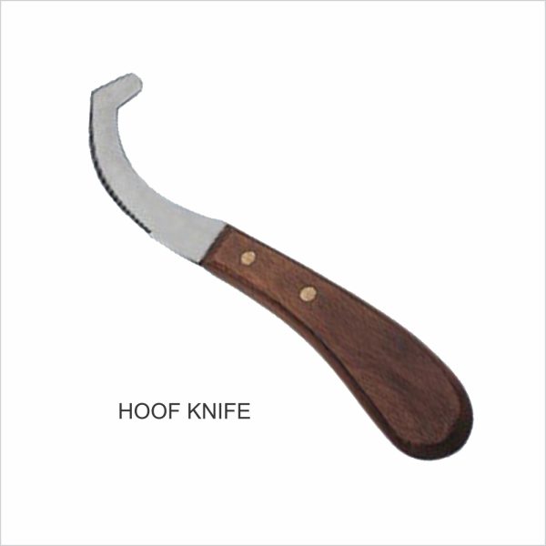 Hoof Knife, Loop Blade, Serrated