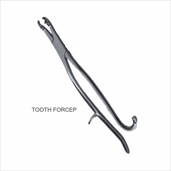 Equine Tooth Forceps, Molar