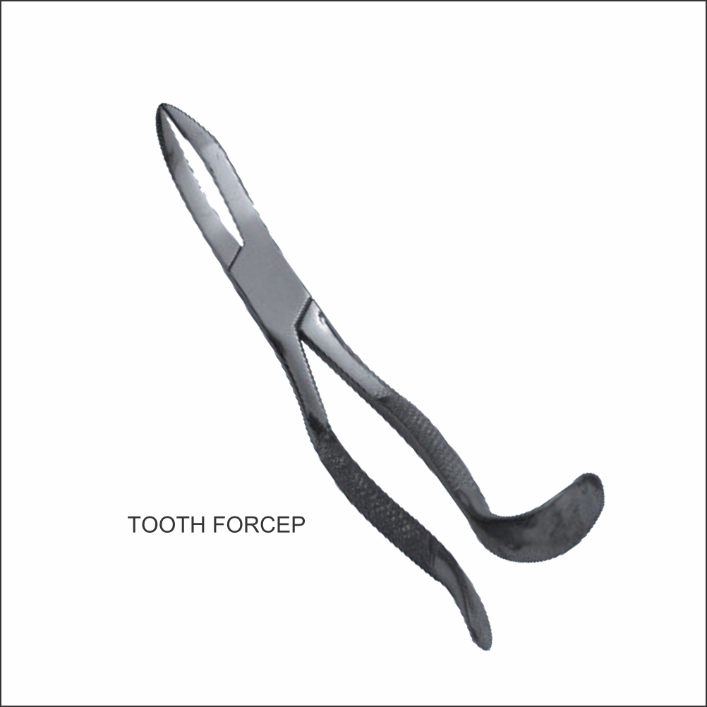 Tooth Forceps Serrated Handle TV-0213 - Tata Surgical